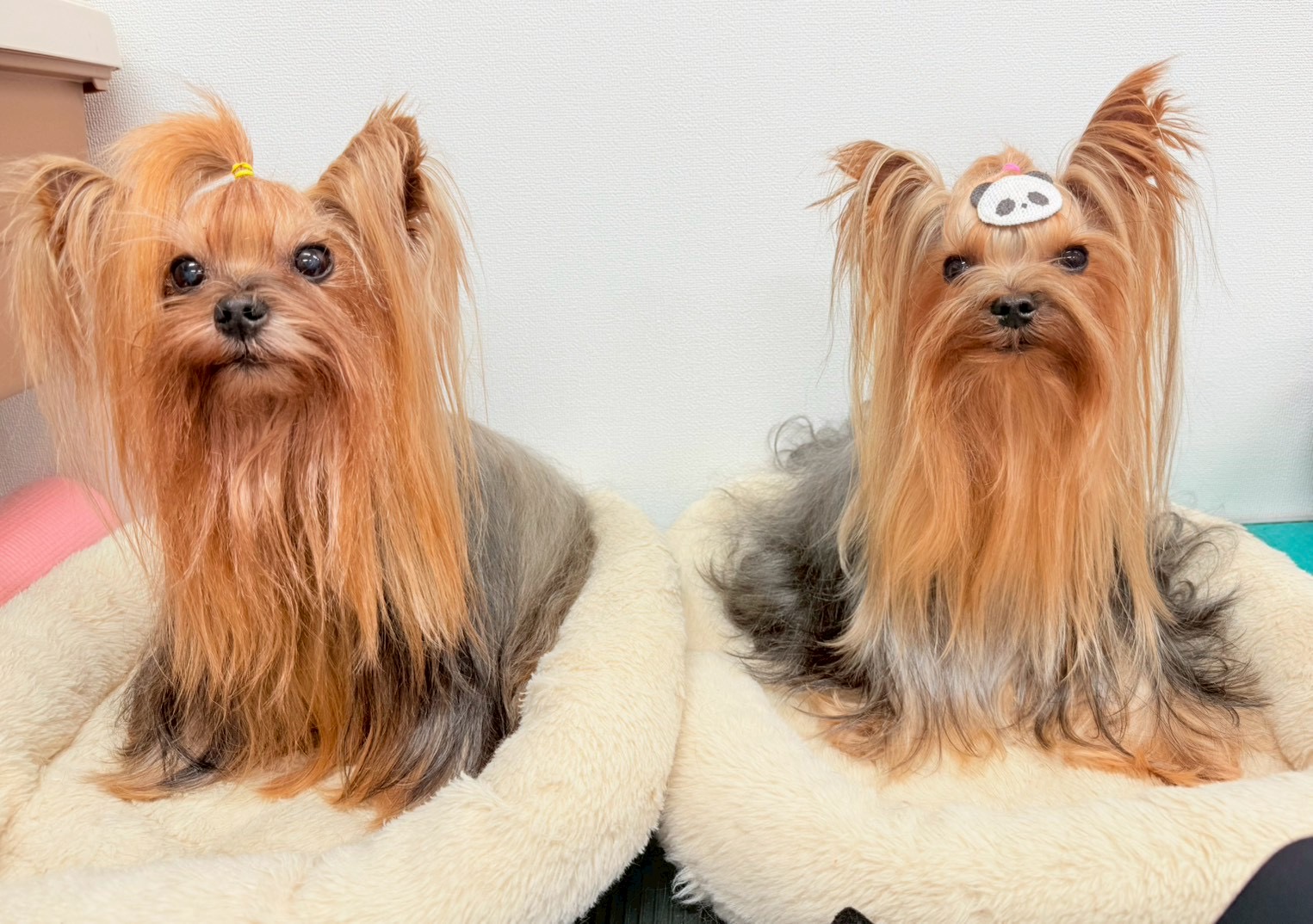 こだわりスタイリング