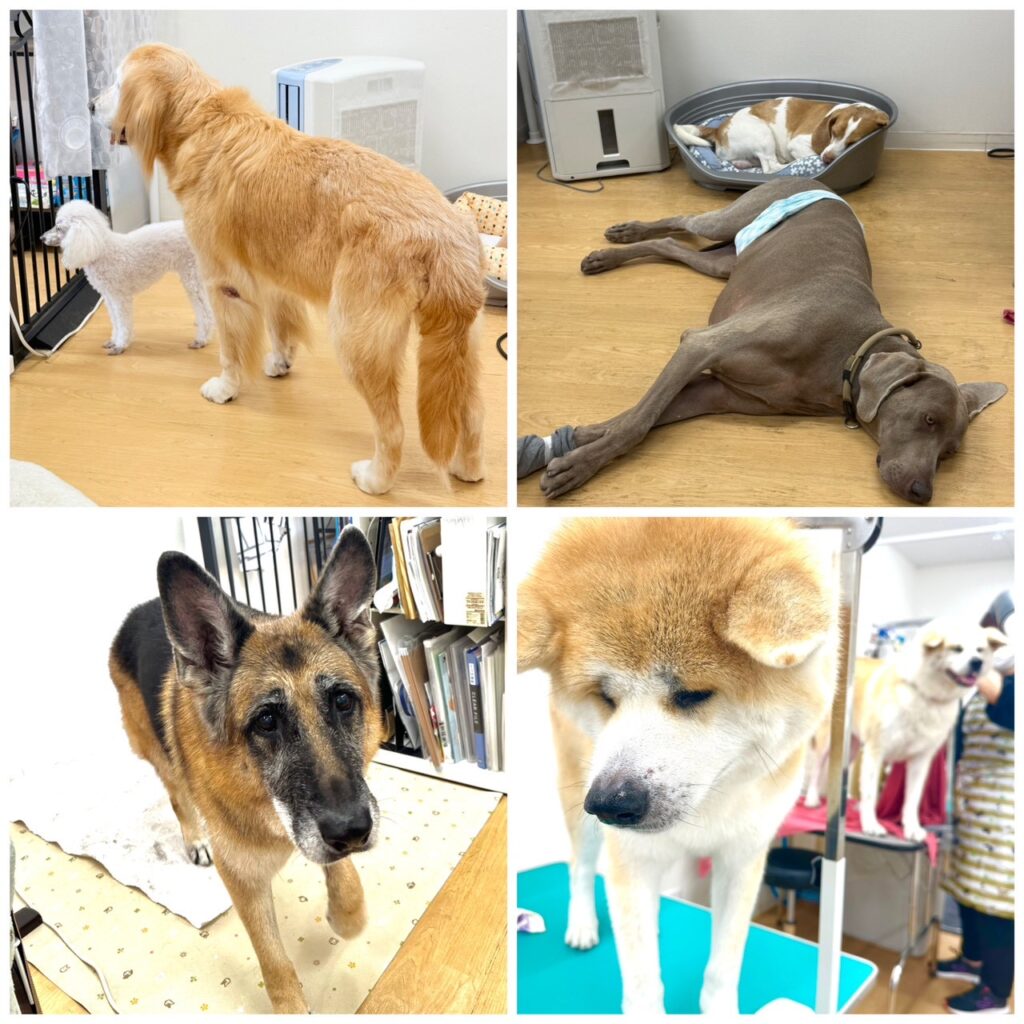 こだわりフリースペース
